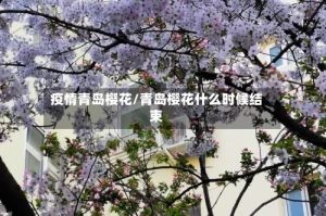 疫情青岛樱花/青岛樱花什么时候结束