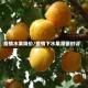疫情水果降价/疫情下水果滞销时评