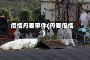 疫情丹麦事件(丹麦役情)