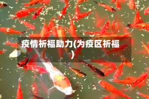 疫情祈福助力(为疫区祈福)