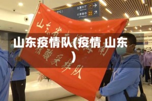 山东疫情队(疫情 山东)