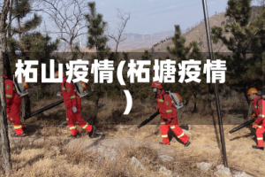 柘山疫情(柘塘疫情)