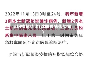 沈阳疫情传染(沈阳疫情传染者)
