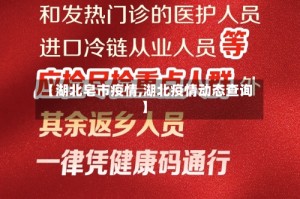 【湖北皂市疫情,湖北疫情动态查询】