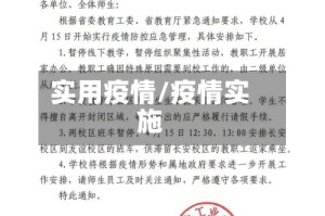 实用疫情/疫情实施
