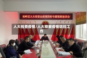 人大检查疫情/人大视察疫情防控工作