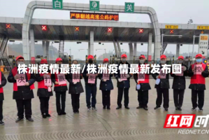株洲疫情最新/株洲疫情最新发布图
