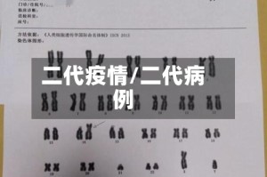 二代疫情/二代病例