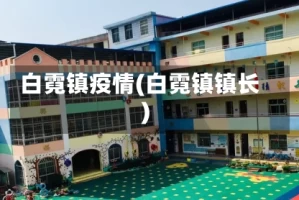 白霓镇疫情(白霓镇镇长)