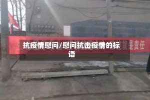 抗疫情慰问/慰问抗击疫情的标语