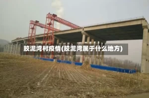 胶泥湾村疫情(胶泥湾属于什么地方)