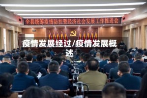 疫情发展经过/疫情发展概述
