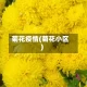 菊花疫情(菊花小区)