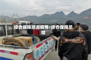 综合保障抗击疫情/综合保障总结