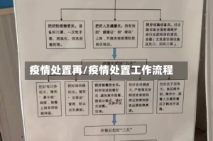 疫情处置再/疫情处置工作流程