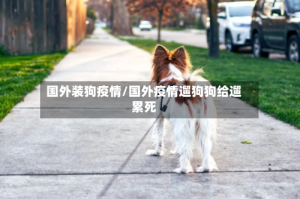 国外装狗疫情/国外疫情遛狗狗给遛累死