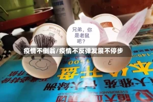 疫情不倒翁/疫情不反弹发展不停步