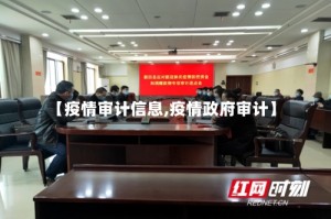 【疫情审计信息,疫情政府审计】