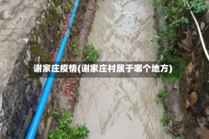 谢家庄疫情(谢家庄村属于哪个地方)