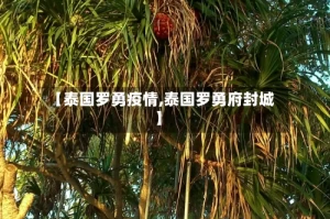 【泰国罗勇疫情,泰国罗勇府封城】