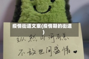 疫情街道文案(疫情期的街道)