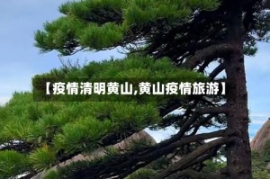 【疫情清明黄山,黄山疫情旅游】