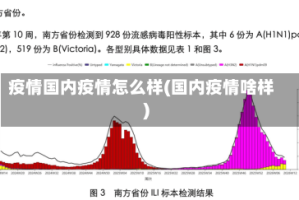 疫情国内疫情怎么样(国内疫情啥样)