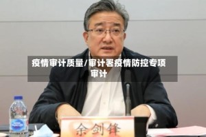 疫情审计质量/审计署疫情防控专项审计