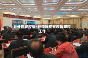 县长视察疫情/县领导视察疫情防控工作