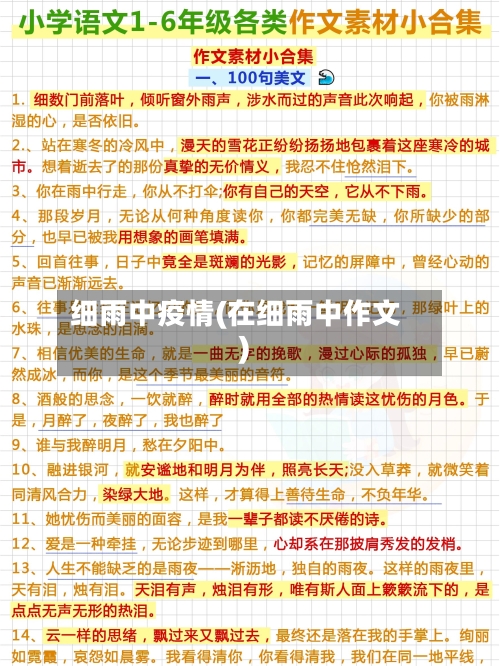 细雨中疫情(在细雨中作文)-第1张图片