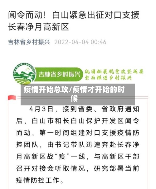 疫情开始总攻/疫情才开始的时候-第1张图片