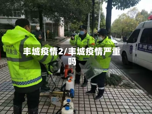 丰城疫情2/丰城疫情严重吗-第2张图片