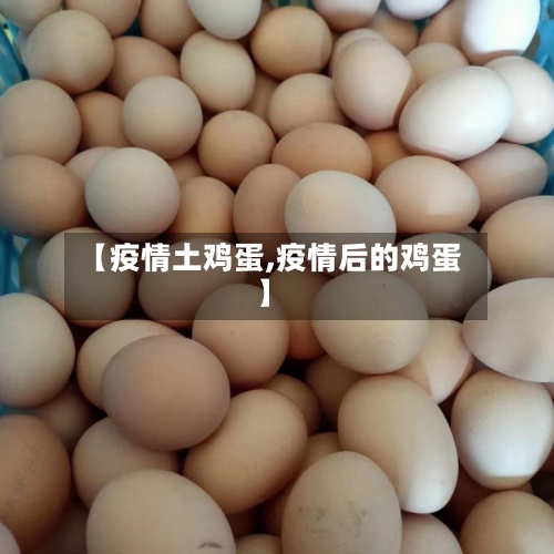【疫情土鸡蛋,疫情后的鸡蛋】-第3张图片