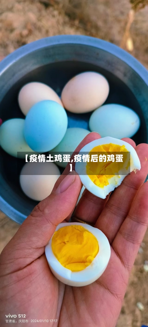 【疫情土鸡蛋,疫情后的鸡蛋】-第2张图片