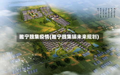 睢宁魏集疫情(睢宁魏集镇未来规划)-第2张图片