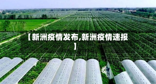 【新洲疫情发布,新洲疫情速报】-第2张图片