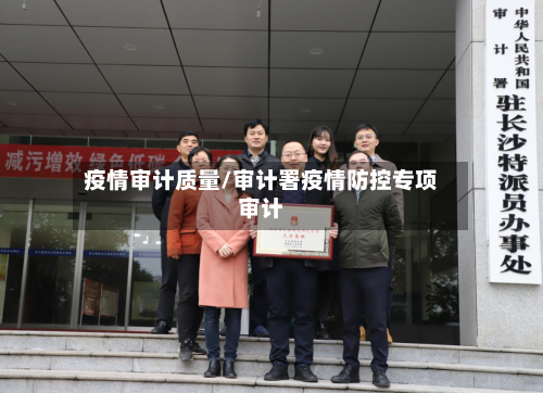 疫情审计质量/审计署疫情防控专项审计-第2张图片