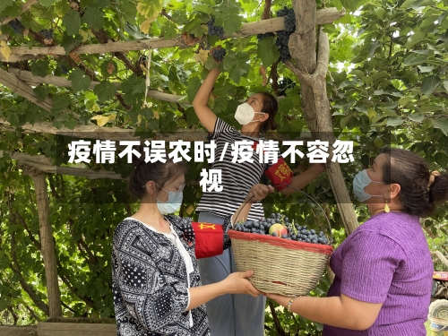 疫情不误农时/疫情不容忽视-第1张图片
