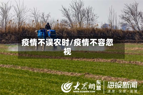 疫情不误农时/疫情不容忽视-第2张图片