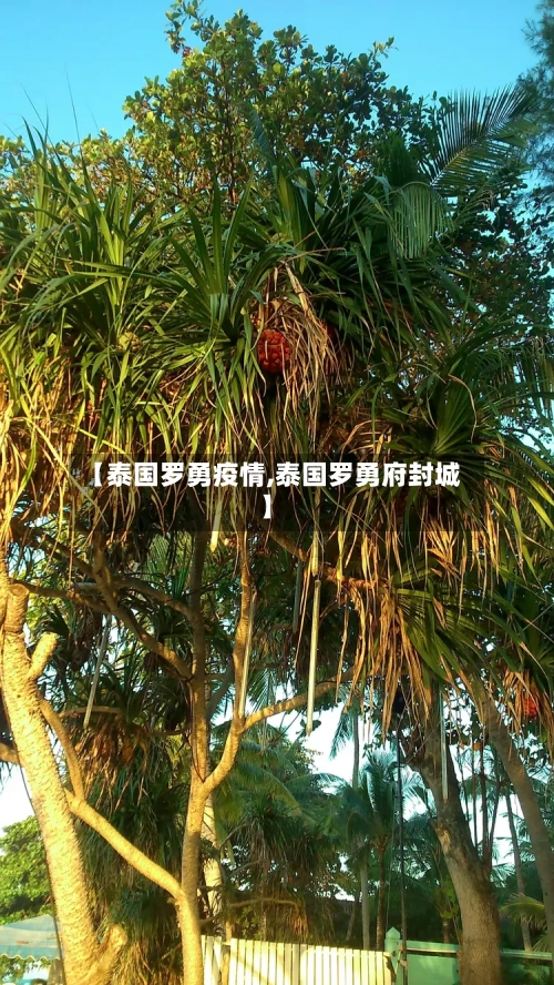 【泰国罗勇疫情,泰国罗勇府封城】-第1张图片