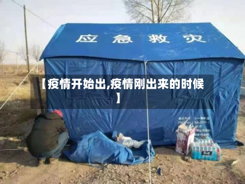 【疫情开始出,疫情刚出来的时候】-第2张图片