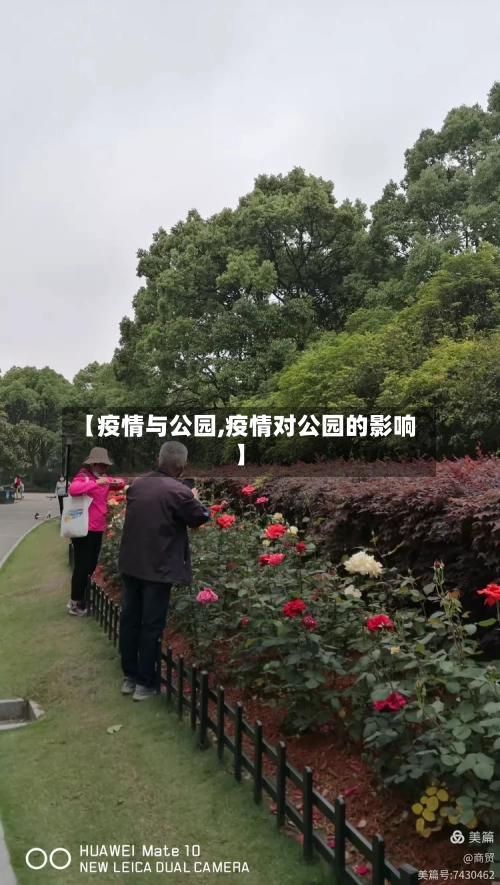 【疫情与公园,疫情对公园的影响】-第3张图片