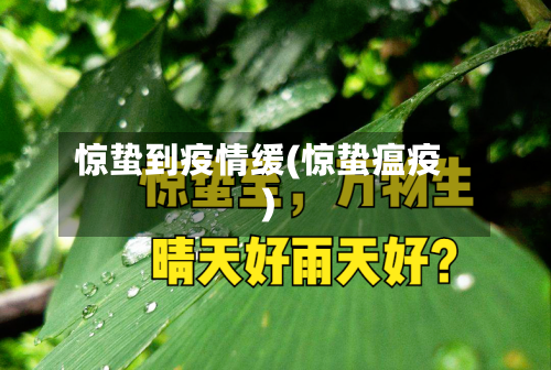 惊蛰到疫情缓(惊蛰瘟疫)-第1张图片