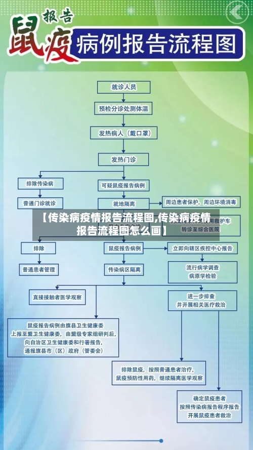 【传染病疫情报告流程图,传染病疫情报告流程图怎么画】-第1张图片