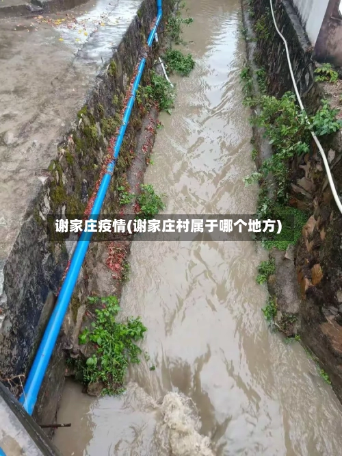 谢家庄疫情(谢家庄村属于哪个地方)-第1张图片