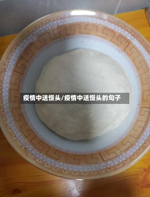 疫情中送馒头/疫情中送馒头的句子-第3张图片