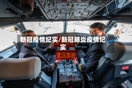 新冠疫情纪实/新冠肺炎疫情纪实-第2张图片