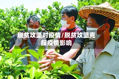 脱贫攻坚对疫情/脱贫攻坚克服疫情影响-第3张图片