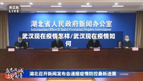 武汉现在疫情怎样/武汉现在疫情如何-第2张图片