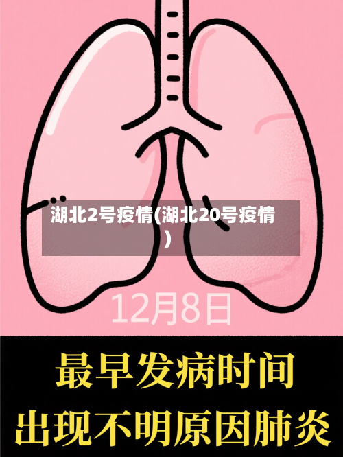 湖北2号疫情(湖北20号疫情)-第2张图片